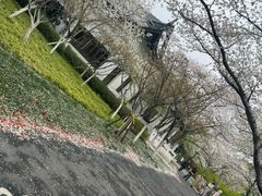 -范蠡湖公园