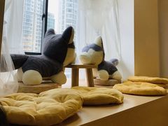 -Husky Go! 哈士奇体验馆·宠物咖啡厅狗咖