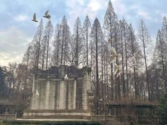 -音乐台
