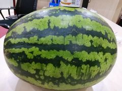 -庞各庄翠芳园西瓜蔬菜基地采摘园