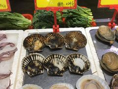 扇贝-蚝专家(北滘店)