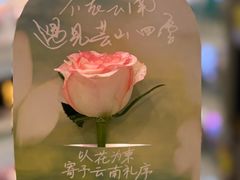 -芸山季·云南野生菌火锅(人民广场来福士店)