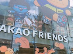 -KAKAO FRIENDS(弘大店)
