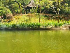 -广州市帽峰山景区