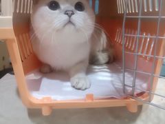 -子乐宠物医院