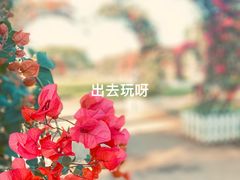 -万绿园