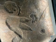 -湖南省地质博物馆