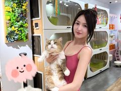 -青奢宠物·青奢猫舍