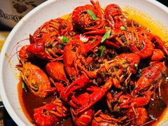 -京B·东篱精酿啤酒音乐餐厅