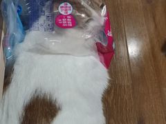 -宠颐生斯嘉宠物医院·急重症·心内科(谷阳北路分院)