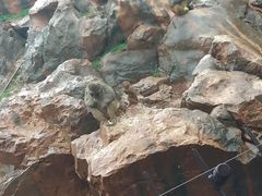 -昆明动物园