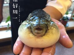-天正河鲀·河豚亭(大连店)