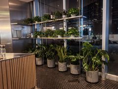 -Wagas沃歌斯(长宁龙之梦店)