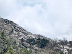 -阳台山自然风景区