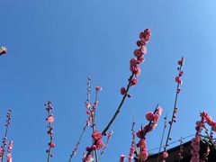 -石湖景区