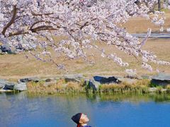 -圆明园遗址公园-藻园门售票处