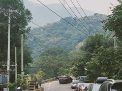 -大岭沟猕猴桃谷风景区