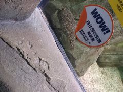 -沈阳海洋探索中心