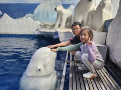 -秦皇岛乐岛海洋王国