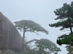 -黄山光明顶山庄