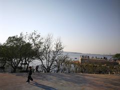 -宝安西湾红树林湿地公园