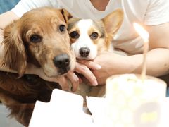 -Dough&Joe团憩(瑞虹天地月亮湾店)