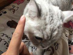 -合肥野生动物园