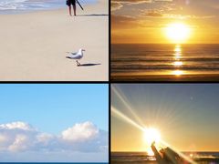 -黄金海岸
