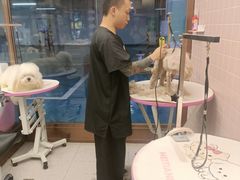 -FAELING PETS美天灵宠物(富力广场店)