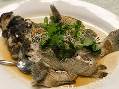 -宜兴隆家宴·私房菜(泰安华庭店)
