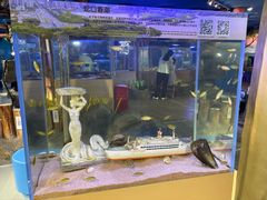 -欢乐海岸海洋奇梦馆