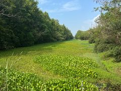 -上海海湾国家森林公园