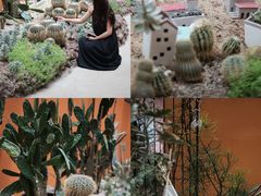 -正佳雨林生态植物园