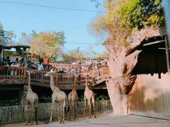 -长鹿旅游休博园