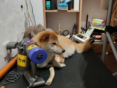 -About Bistro關於·泰式家庭料理