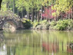 -上海醉白池公园