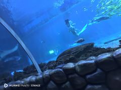 -华夏文旅海洋公园