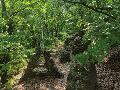 -帽儿山国家森林公园