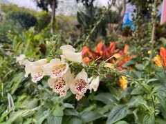 -人民公园(罗湖区)