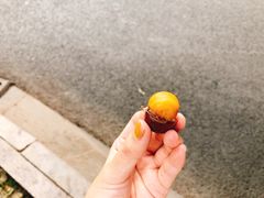 -阿男野栗王(金门路店)