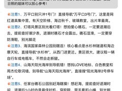 -日照海滨国家森林公园