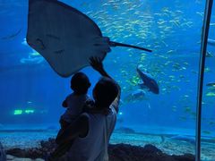 -华夏文旅海洋公园