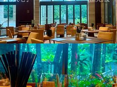 -惠州白鹭湖雅居乐喜来登酒店-盛宴标帜西餐厅