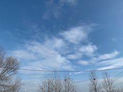 -大汗行宫园林餐厅