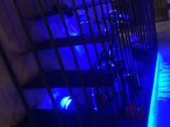 -青年公社烤鸭(蜀山万象汇店)