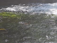 -水磨沟公园