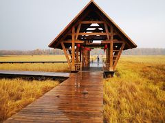 -塞罕坝国家级自然保护区