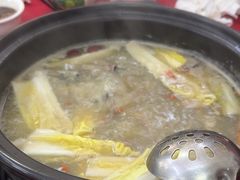 -花苑美食横琴生蚝火锅(拱北粤华路店)