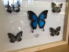 -艾溪湖湿地公园