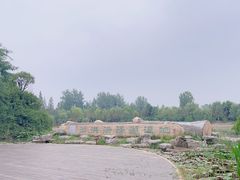 -泗洪洪泽湖湿地景区